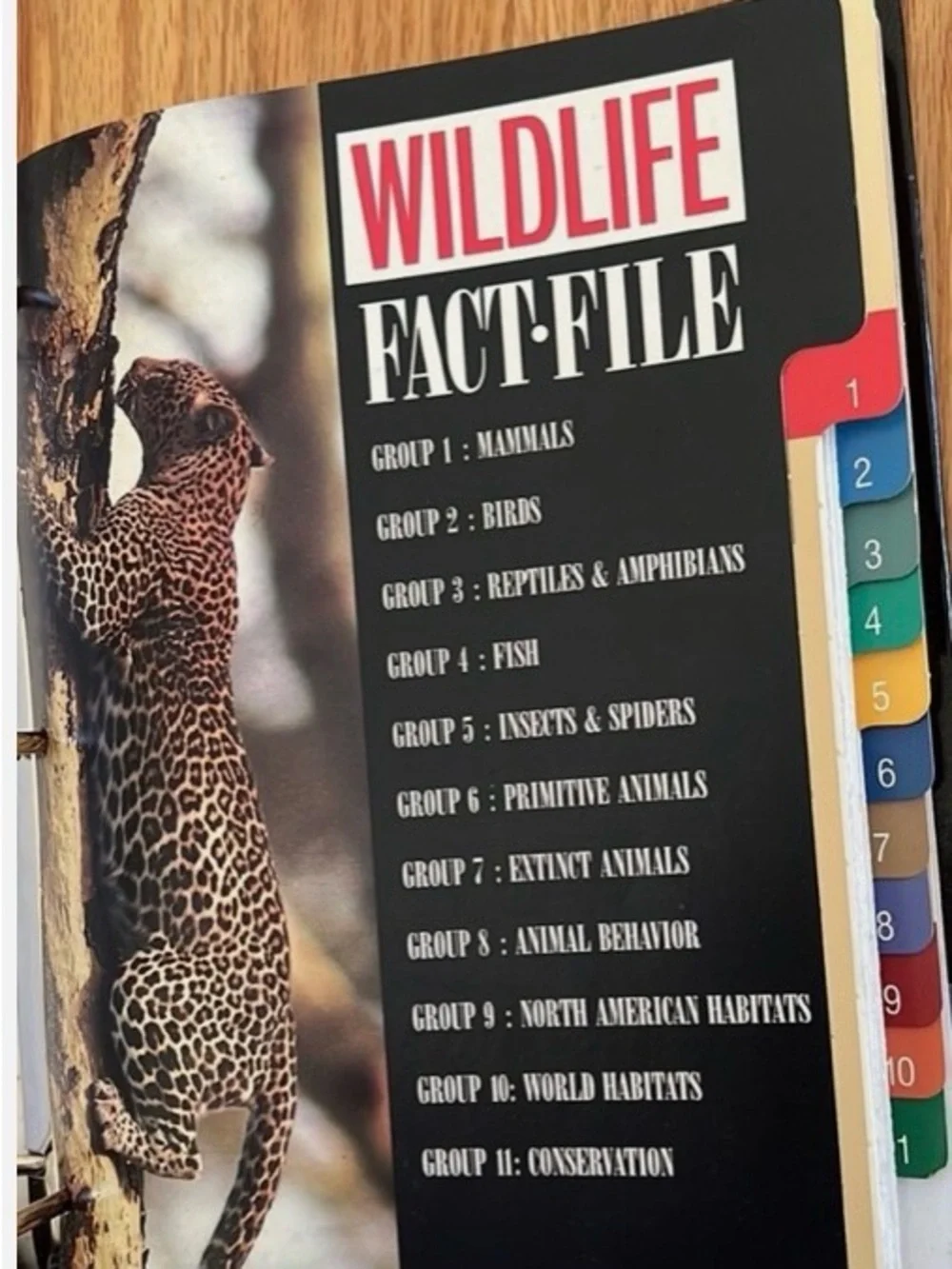 Vintage 1990s wildlife fact file